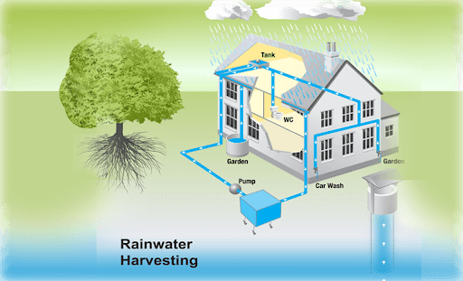 Harvesting rainwater: Need of the Hour