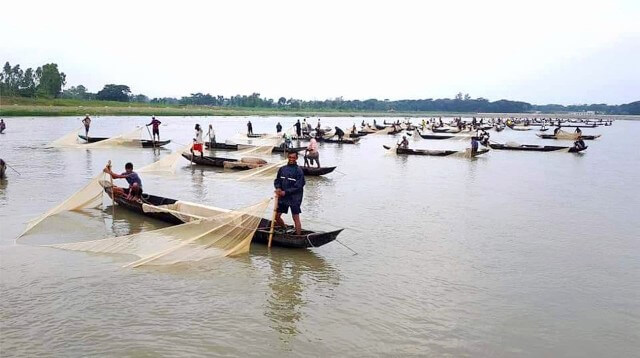 Indigenous fishes release eggs in Halda river of Bangladesh on 21 May 2020